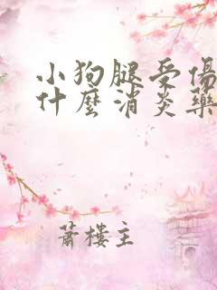 小狗腿受伤了吃什么消炎药