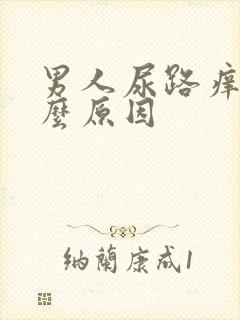 男人尿路痒是什么原因