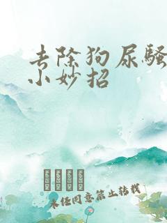 去除狗尿骚味的小妙招