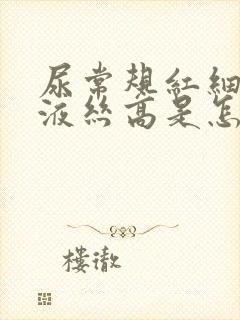 尿常规红细胞粘液丝高是怎么回事