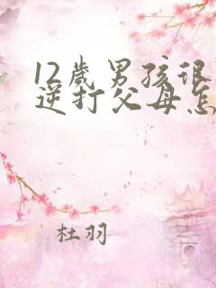 12岁男孩很叛逆打父母怎么办