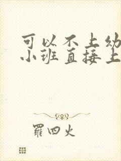 可以不上幼儿园小班直接上中班吗