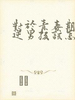 对于青春期的叛逆男孩该怎样管教