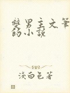 双男主文笔超好的小说