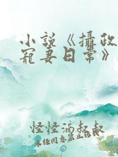 小说《摄政王的宠妻日常》