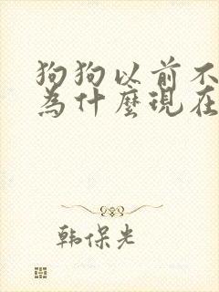 狗狗以前不乱尿为什么现在乱尿了