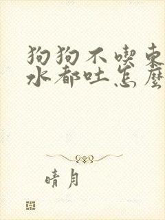 狗狗不吃东西喝水都吐怎么办