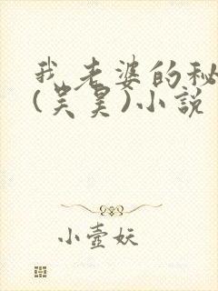 我老婆的秘密 (吴昊)小说