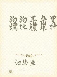 狗狗耳朵里面溃烂化脓用什么药