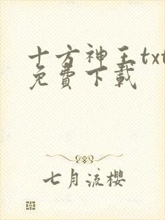 十方神王txt免费下载