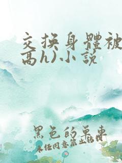 交换身体被c(高h)小说