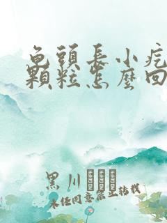 龟头长小疙瘩小颗粒怎么回事