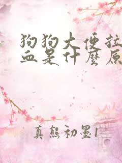 狗狗大便拉稀出血是什么原因