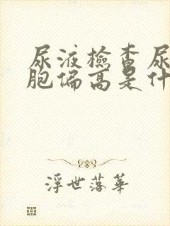 尿液检查尿白细胞偏高是什么原因