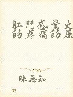 肛门感觉火辣辣的疼痛的原因