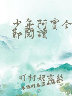 少年阿宾全文章节阅读