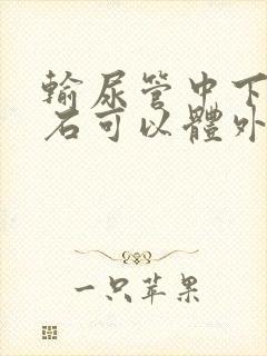 输尿管中下段结石可以体外震波碎石吗