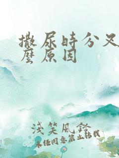 撒尿时分叉是什么原因