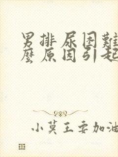 男排尿困难是什么原因引起的