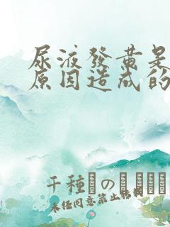 尿液发黄是什么原因造成的