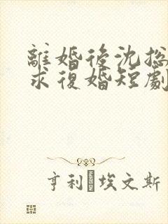 离婚后沈总天天求复婚短剧免费观看