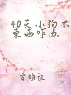 40天小狗不吃东西咋办