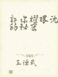 许你耀眼沈皓明的秘密