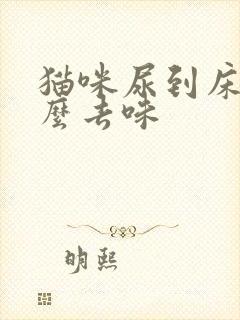 猫咪尿到床上怎么去味