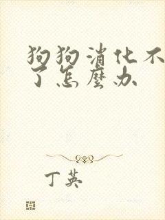 狗狗消化不好吐了怎么办