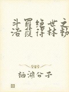 斗罗绝世之霍雨浩获得林动传承