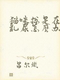 猫咪总是在家里乱尿怎么办