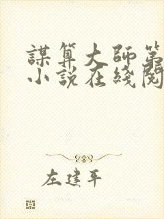 谋算大师第三部小说在线阅读