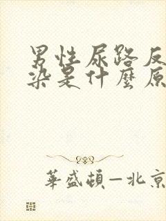 男性尿路反复感染是什么原因