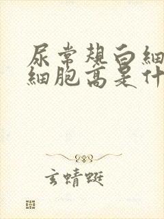 尿常规白细胞红细胞高是什么原因