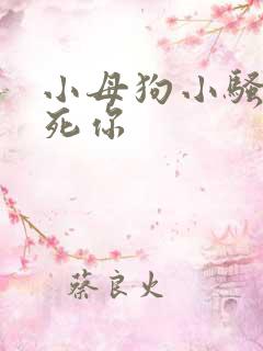 小母狗小骚货操死你