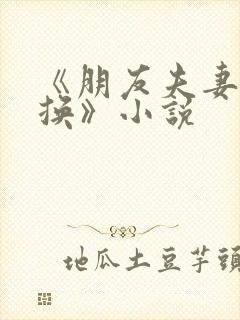 《朋友夫妻:交换》小说