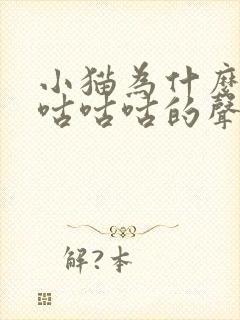 小猫为什么发出咕咕咕的声音