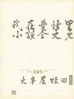 我在爱情里等你小说全文免费阅读