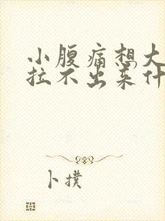 小腹痛想大便又拉不出来什么原因