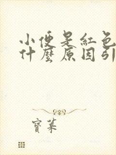 小便是红色的是什么原因引起的