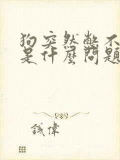 狗突然憋不住尿是什么问题