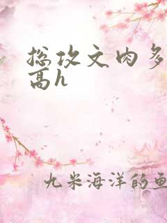 总攻文肉多荤文高h