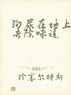 狗尿在地上怎么去除味道