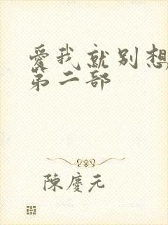 爱我就别想太多第二部