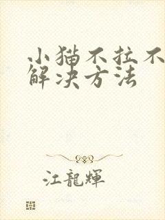 小猫不拉不尿的解决方法