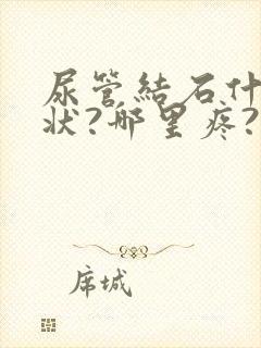 尿管结石什么症状?哪里疼?