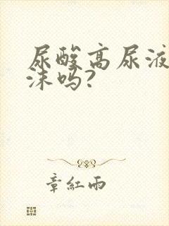 尿酸高尿液有泡沫吗?