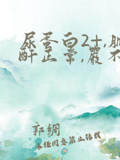 尿蛋白2+,肌酐正常,严不严重