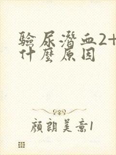 验尿潜血2+是什么原因