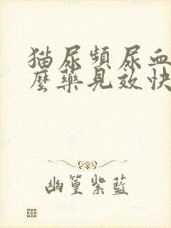 猫尿频尿血吃什么药见效快